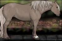 Horse Color:Silver Grullo