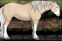 Horse Color:Silver Classic Champagne Dun Splash