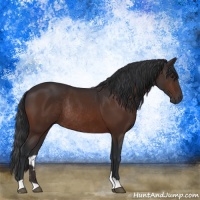 Horse Color:Brown Rabicano 