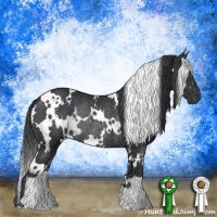 Horse Color:White Spotted Black Rabicano 