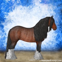 Horse Color:Brown Rabicano 