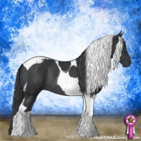 Horse Color:Black Tobiano Rabicano 