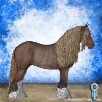 Horse Color:Liver Chestnut Rabicano 