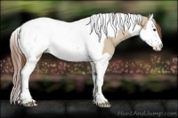 Horse Color:Red Dun Splash Tobiano Near Fewspot 