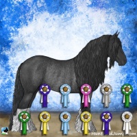 Horse Color:Black Rabicano