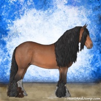 Horse Color:Bay Rabicano 