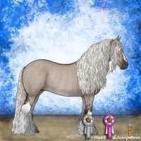 Horse Color:Liver Red Dun Mushroom Rabicano 