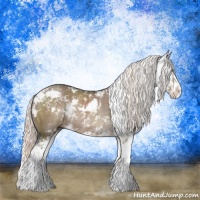 Horse Color:Liver Red Dun Mushroom Sabino Rabicano Brindle