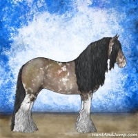 Horse Color:Brown Dun Mushroom Sabino Rabicano Brindle