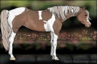 Horse Color:Silver Black Tobiano Varnish 