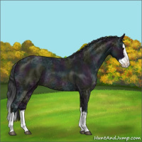 Horse Color:Midnight Blue Ice Roan Splash Varnish Rabicano 