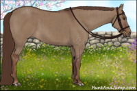Horse Color:Liver Red Dun Brindle 