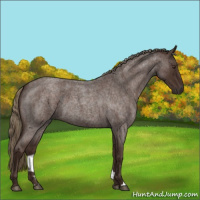 Horse Color:Liver Red Roan 