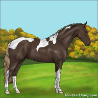Horse Color:Liver Chestnut Tobiano 