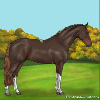 Horse Color:Liver Chestnut Tobiano 