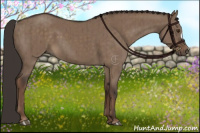 Horse Color:Liver Red Dun Brindle 