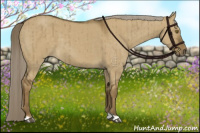Horse Color:Chocolate Palomino Dun Brindle 