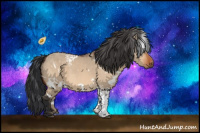 Horse Color:White Spotted Bay Dun