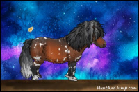 Horse Color:White Spotted Bay 