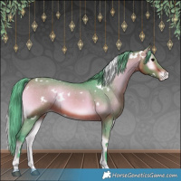 Horse Color:Watercolor White Spotted Bay Onyx Varnish 