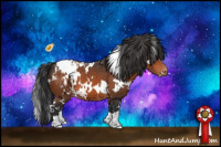 Horse Color:White Spotted Bay Appaloosa 