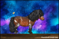 Horse Color:White Spotted Brown 