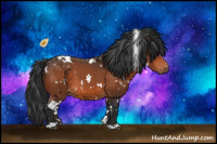 Horse Color:White Spotted Brown 