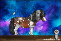 Horse Color:White Spotted Bay 