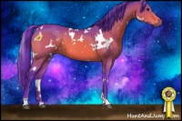 Horse Color:Watercolor White Spotted Bay 