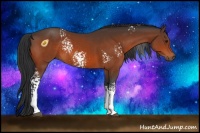 Horse Color:White Spotted Brown 