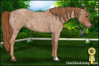 Horse Color:Red Roan 