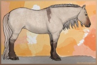 Horse Color:Silver Brown Roan Dun 