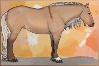 Horse Color:Silver Bay Dun 