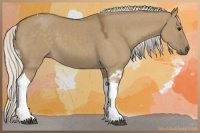 Horse Color:Silver Smoky Grullo Tobiano 