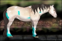 Horse Color:Amber Champagne Ice Onyx 