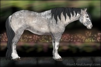 Horse Color:Blue Onyx Ice 