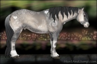 Horse Color:Blue Onyx Ice Frame