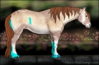 Horse Color:Red Onyx Ice