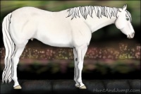 Horse Color:Silver Perlino Ice Roan Onyx 