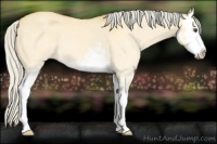 Horse Color:Silver Buckskin Dun Splash 
