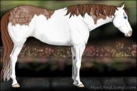 Horse Color:Red Ice Roan Splash 