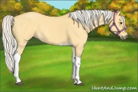Horse Color:Silver Buckskin Dun Tobiano 