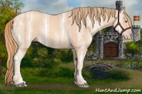 Horse Color:Gold Champagne Ice 