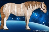 Horse Color:Chestnut Ice Rabicano 