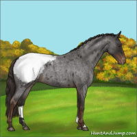 Horse Color:Liver Red Roan Snowcap 