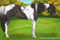 Horse Color:Liver Red Roan Tobiano