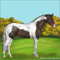 Horse Color:Liver Chestnut Tobiano Varnish 