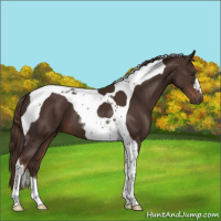 Horse Color:Liver Chestnut Tobiano 