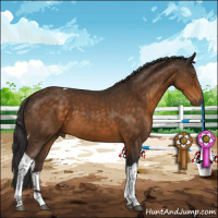 Horse Color:Buckskin Tobiano 