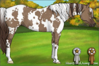 Horse Color:White Spotted Liver Red Dun 